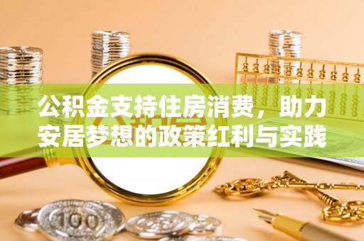 天全公积金支持住房消费，助力安居梦想的政策红利与实践