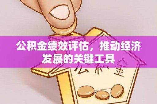 天全公积金绩效评估，推动经济发展的关键工具