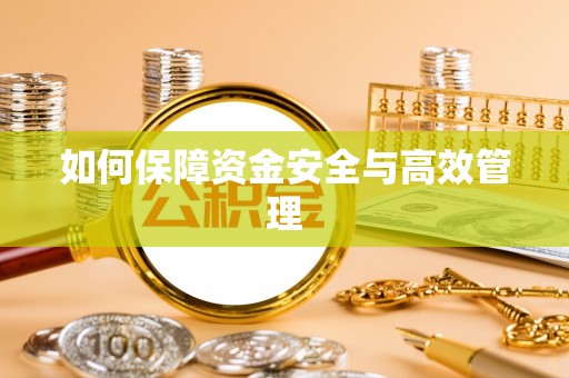 天全如何保障资金安全与高效管理