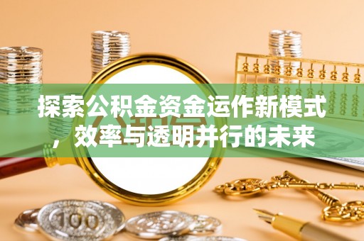 天全探索公积金资金运作新模式，效率与透明并行的未来