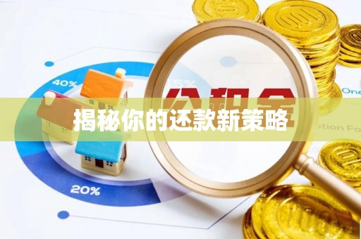 天全揭秘你的还款新策略