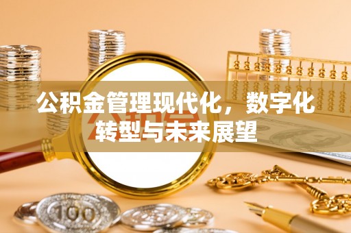 天全公积金管理现代化，数字化转型与未来展望