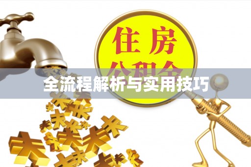 天全全流程解析与实用技巧