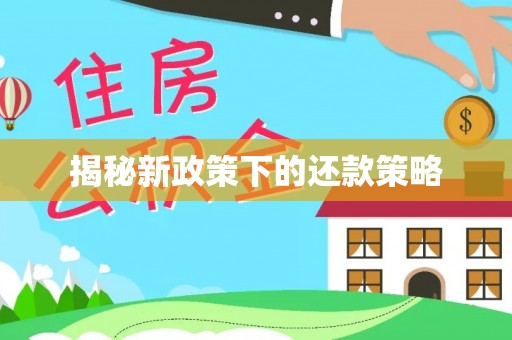 天全揭秘新政策下的还款策略