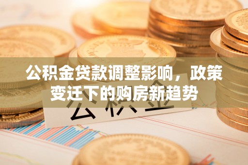 天全公积金贷款调整影响，政策变迁下的购房新趋势
