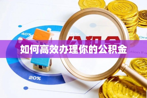 天全如何高效办理你的公积金