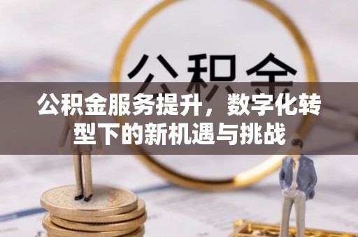 天全公积金服务提升，数字化转型下的新机遇与挑战