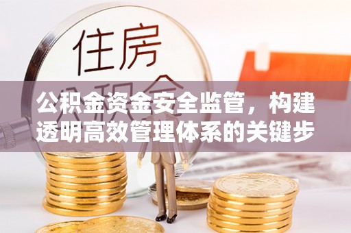 天全公积金资金安全监管，构建透明高效管理体系的关键步骤