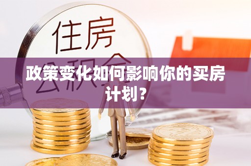 天全政策变化如何影响你的买房计划？