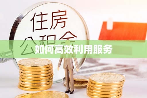 天全如何高效利用服务