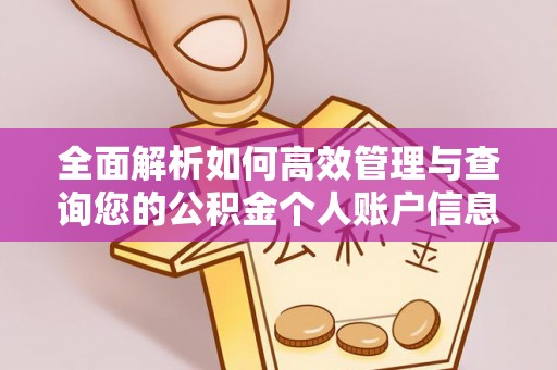 天全全面解析如何高效管理与查询您的公积金个人账户信息