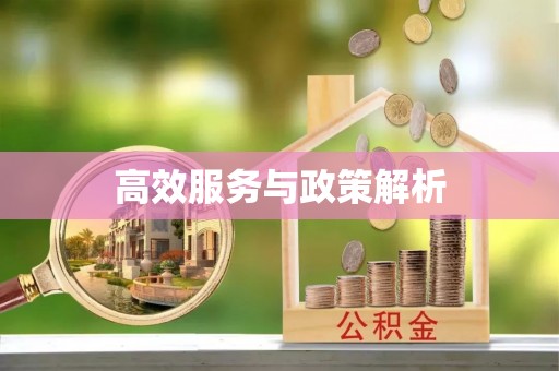 天全高效服务与政策解析