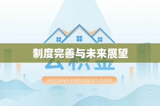 天全制度完善与未来展望