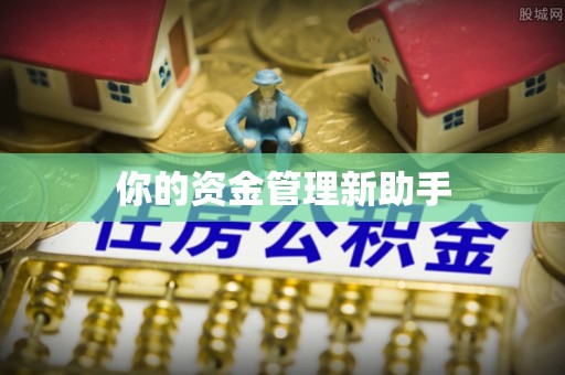 天全你的资金管理新助手