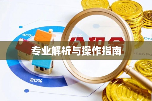 天全专业解析与操作指南