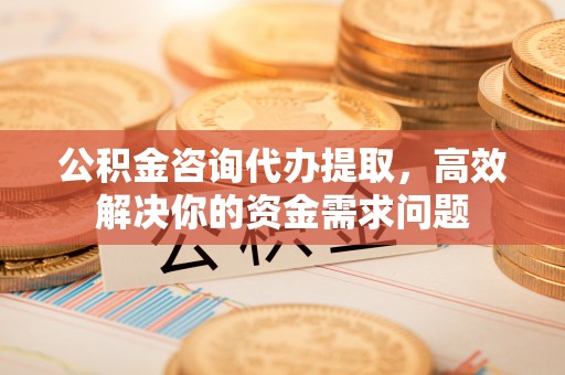 天全公积金咨询代办提取，高效解决你的资金需求问题