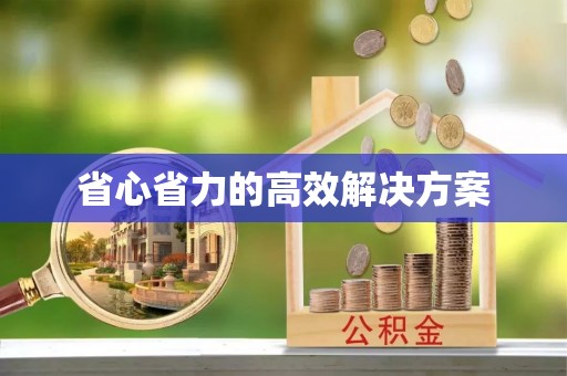 天全省心省力的高效解决方案