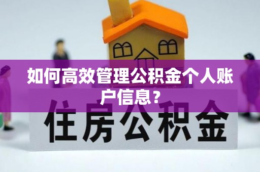 天全如何高效管理公积金个人账户信息？