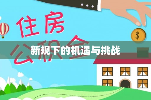 天全新规下的机遇与挑战
