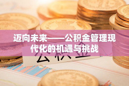 天全迈向未来——公积金管理现代化的机遇与挑战
