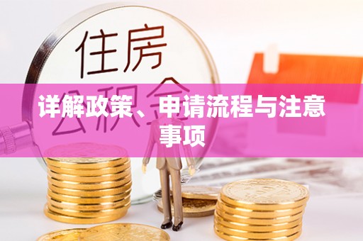 天全详解政策、申请流程与注意事项