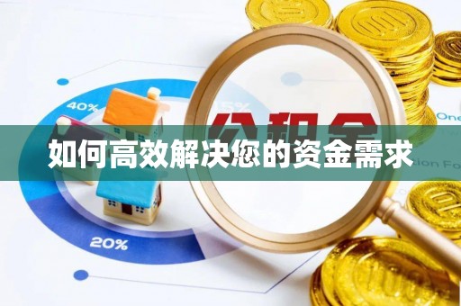 天全如何高效解决您的资金需求