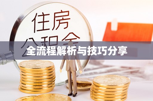 天全全流程解析与技巧分享