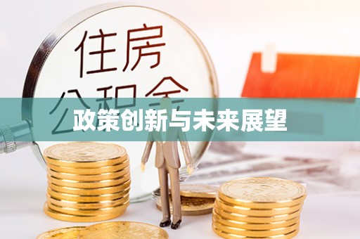 天全政策创新与未来展望