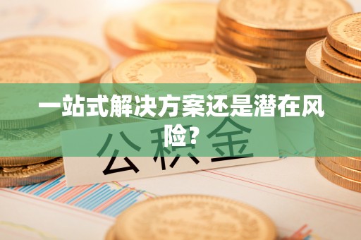 天全一站式解决方案还是潜在风险？
