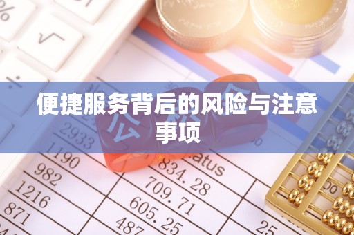 天全便捷服务背后的风险与注意事项